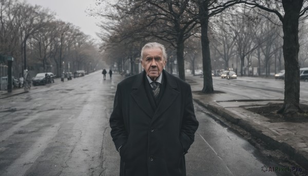 solo,looking at viewer,shirt,long sleeves,1boy,closed mouth,standing,jacket,white shirt,white hair,grey hair,male focus,outdoors,multiple boys,necktie,solo focus,collared shirt,tree,coat,black jacket,facial hair,formal,suit,ground vehicle,building,black necktie,motor vehicle,beard,black coat,realistic,hands in pockets,mustache,car,road,old,old man,bare tree,street,short hair,upper body,day,striped,black eyes,vest,black pants,scenery,6+boys,black vest,striped necktie,lamppost,grey sky,sidewalk