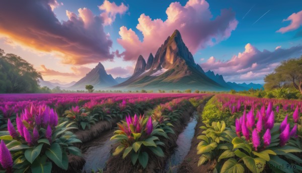 A enchanting sunset outdoors highlighting a landscape