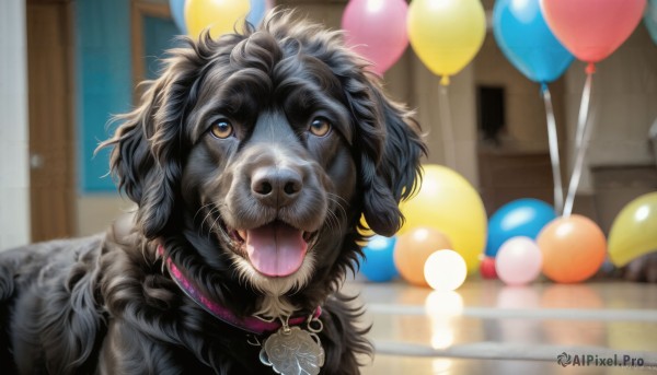 HQ,solo,brown eyes,tongue,artist name,indoors,tongue out,blurry,collar,no humans,depth of field,blurry background,animal,watermark,dog,realistic,balloon,animal focus,looking at viewer,open mouth,necklace,fangs,portrait,web address