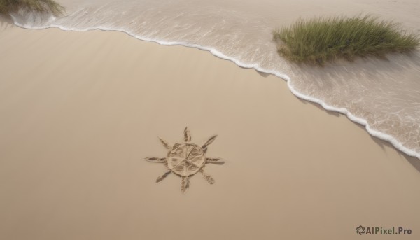 outdoors,day,water,tree,military,no humans,ocean,beach,grass,scenery,flying,aircraft,sand,airplane,vehicle focus,waves,shore,tan background,calligraphy brush (medium),from above,bug,footprints