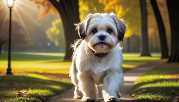 The beauty of a dog set in a captivating day