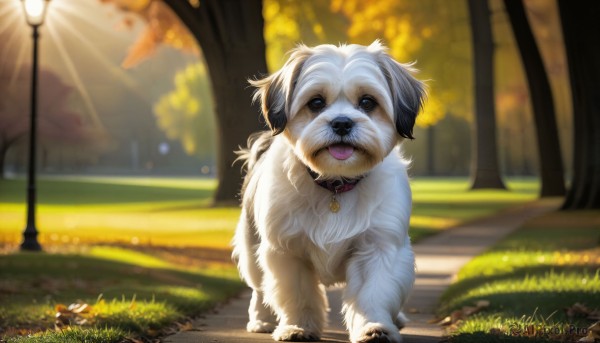 HQ,solo,open mouth,blue eyes,outdoors,day,tongue,artist name,signature,tongue out,blurry,black eyes,collar,tree,no humans,bell,depth of field,blurry background,animal,sunlight,grass,scenery,neck bell,dog,realistic,road,animal focus,lamppost,looking at viewer,standing,watermark,nature,web address,light rays,bench,animal collar,deviantart username,park