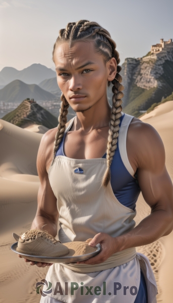 1girl,solo,long hair,looking at viewer,brown hair,black hair,holding,bare shoulders,brown eyes,closed mouth,collarbone,braid,outdoors,food,sky,dark skin,apron,twin braids,lips,muscular,tank top,white apron,plate,mountain,realistic,nose,muscular female,desert,pie,dark-skinned female,holding plate,dreadlocks