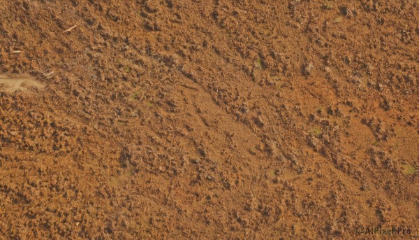 solo,multiple girls,monochrome,outdoors,tree,no humans,from above,traditional media,nature,scenery,sepia,brown theme,orange theme,pokemon (creature),ground vehicle,motor vehicle,road,field,yellow theme