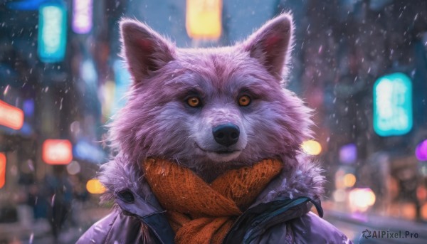 solo, looking at viewer, jacket, outdoors, signature, scarf, blurry, no humans, night, blurry background, animal, colored sclera, dog, city, animal focus, orange scarf