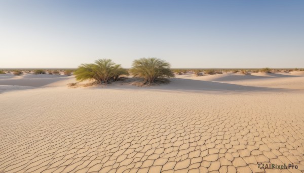 outdoors,sky,day,artist name,tree,blue sky,no humans,shadow,watermark,beach,plant,scenery,sunset,sand,palm tree,horizon,road,gradient sky,desert,water,ocean,shore