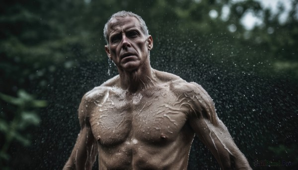 solo,1boy,closed mouth,nipples,upper body,white hair,male focus,outdoors,water,blurry,wet,muscular,blurry background,facial hair,parody,pectorals,muscular male,rain,veins,topless male,water drop,realistic,bald,manly,old,old man,wrinkled skin,looking at viewer,short hair,grey hair,nude,scar,beard