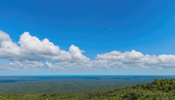 outdoors,sky,day,cloud,water,tree,blue sky,no humans,bird,ocean,cloudy sky,grass,nature,scenery,forest,horizon,field,summer,landscape,island