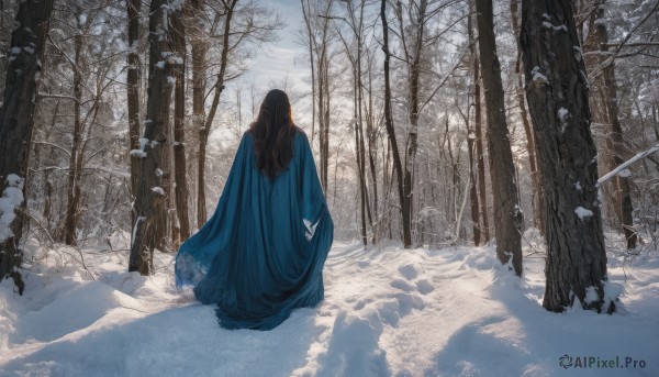 1girl,solo,long hair,brown hair,black hair,long sleeves,dress,standing,weapon,outdoors,day,sword,from behind,cape,tree,nature,scenery,cloak,snow,forest,snowing,facing away,winter,blue cape,bare tree,footprints,bug,butterfly,wide shot