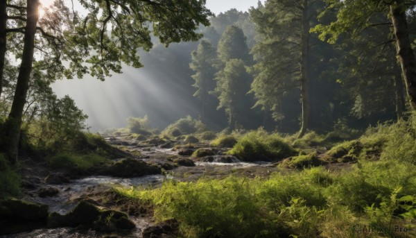 A landscape portrayed in a refreshing day