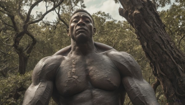 solo,1boy,upper body,male focus,outdoors,sky,day,cloud,tree,mask,muscular,facial hair,cloudy sky,pectorals,muscular male,nature,beard,forest,realistic,ruins,statue,short hair,closed mouth,nipples,nude,dark skin,tattoo,scar,from below,bald,manly,chest hair