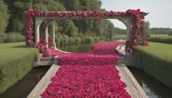 A garden surrounded by a serene day