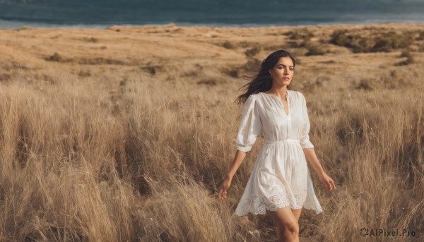 1girl,solo,long hair,brown hair,black hair,dress,brown eyes,closed mouth,standing,outdoors,sky,day,signature,white dress,lips,looking to the side,wind,scenery,walking,realistic,field,jewelry,earrings,dark skin,dark-skinned female,dirty,desert