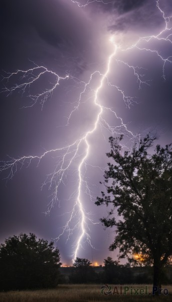 A lightning framed by the beauty of a lush fiery outdoors