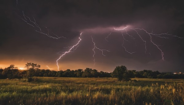 The charm of a lightning in a scenic sunset outdoors