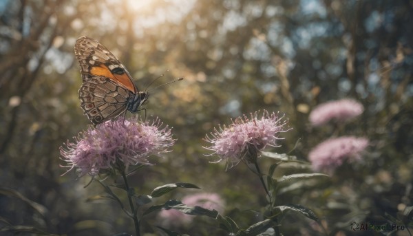 The charm of a butterfly in a scenic outdoors