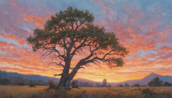 A ethereal sunset outdoors featuring a landscape