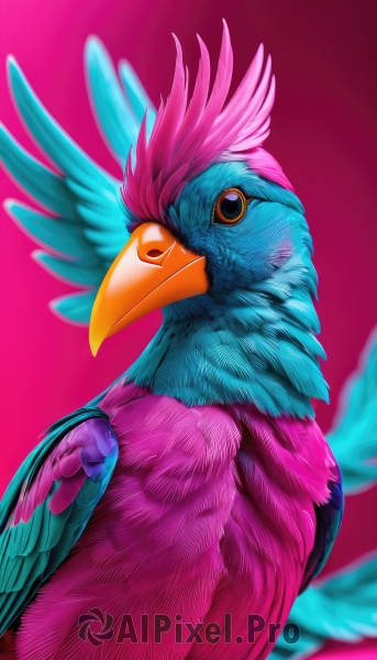 solo,simple background,closed mouth,upper body,wings,blurry,from side,pokemon (creature),no humans,bird,animal,pink background,feathers,animal focus,beak,blue feathers,looking at viewer,realistic