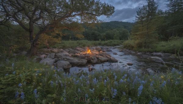 flower,outdoors,sky,day,sword,cloud,water,tree,no humans,cloudy sky,grass,fire,nature,scenery,forest,blue flower,rock,mountain,river,landscape,grey sky,burning,campfire,sitting,night,fantasy,stream