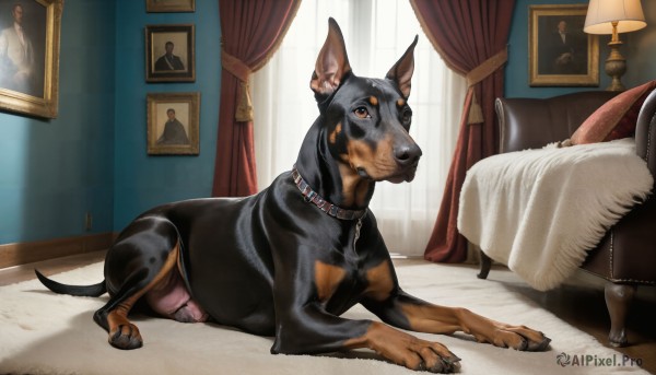 A vibrant dog captured in window