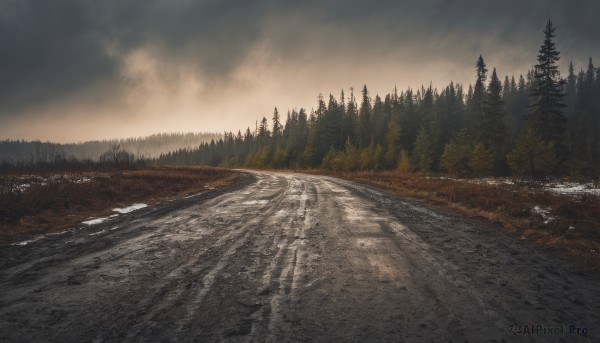 outdoors,sky,cloud,tree,no humans,cloudy sky,grass,nature,scenery,snow,forest,mountain,road,river,landscape,grey sky,pine tree,water,realistic,lake