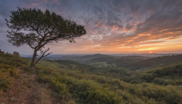 Image of a landscape in a fresh sunset outdoors