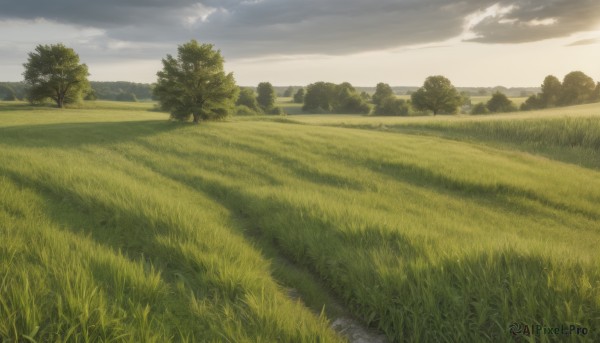 The charm of a landscape in a bold day