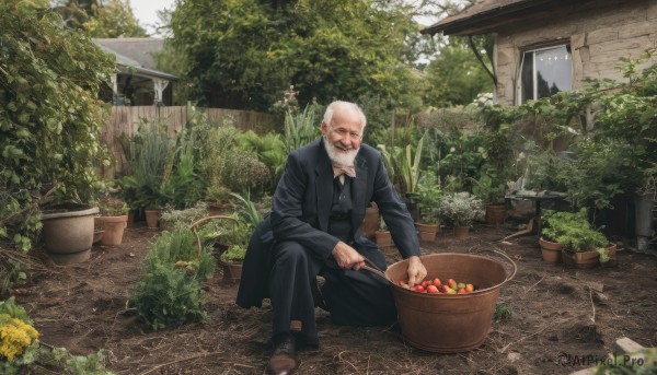 solo,shirt,long sleeves,1boy,holding,sitting,jacket,flower,white hair,male focus,outdoors,food,shoes,day,pants,tree,fruit,facial hair,brown footwear,black pants,formal,suit,plant,beard,mustache,basket,potted plant,bald,house,old,old man,garden,looking at viewer,black jacket,scenery,realistic