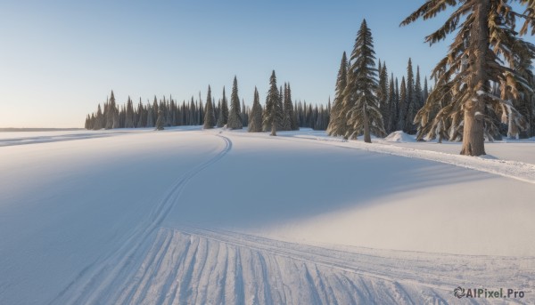 outdoors,sky,day,tree,blue sky,no humans,nature,scenery,snow,forest,mountain,road,winter,bare tree,landscape,footprints,pine tree,sand,gradient sky,desert