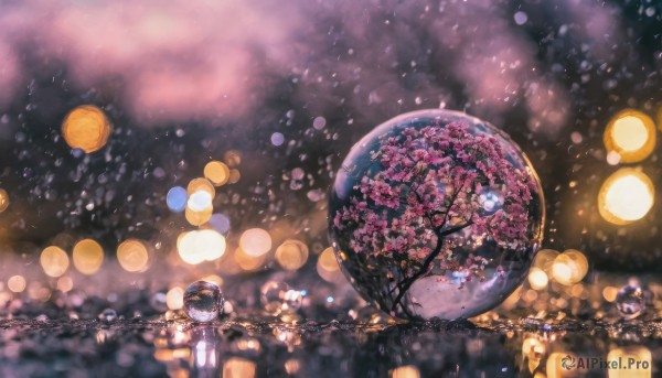 1girl, solo, outdoors, japanese clothes, blurry, tree, night, depth of field, cherry blossoms, scenery, reflection, lantern, bokeh, paper lantern