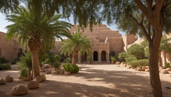 outdoors,sky,day,tree,blue sky,no humans,window,shadow,sunlight,grass,plant,building,scenery,rock,sand,palm tree,bush,shade,statue,cloud,ruins,house,castle,path,stone