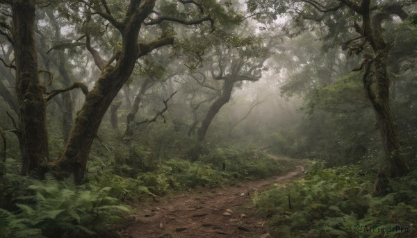 outdoors, day, tree, no humans, sunlight, grass, plant, nature, scenery, forest, road, green theme, path