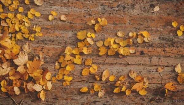 outdoors,no humans,animal,leaf,from above,traditional media,nature,scenery,painting (medium),autumn leaves,autumn,ginkgo leaf,plant,still life,orange theme