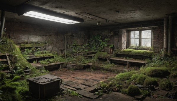 day,indoors,tree,no humans,window,sunlight,grass,plant,scenery,ruins,ceiling,moss,rubble,overgrown,post-apocalypse,broken window,ceiling light