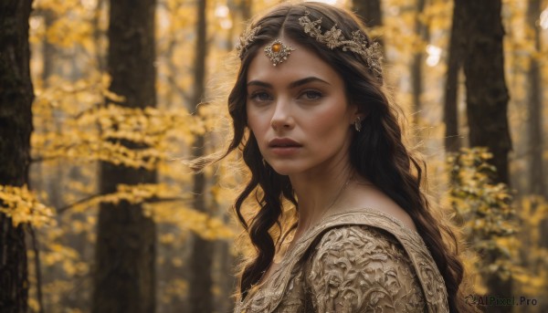 1girl,solo,long hair,looking at viewer,brown hair,black hair,hair ornament,dress,brown eyes,jewelry,upper body,earrings,outdoors,parted lips,necklace,blurry,black eyes,from side,tree,lips,depth of field,blurry background,wavy hair,tiara,portrait,nature,forest,circlet,realistic,nose,grey eyes,gem,veil,autumn,gold