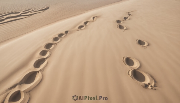 monochrome,outdoors,no humans,beach,scenery,sand,sepia,brown theme,desert,close-up,footprints