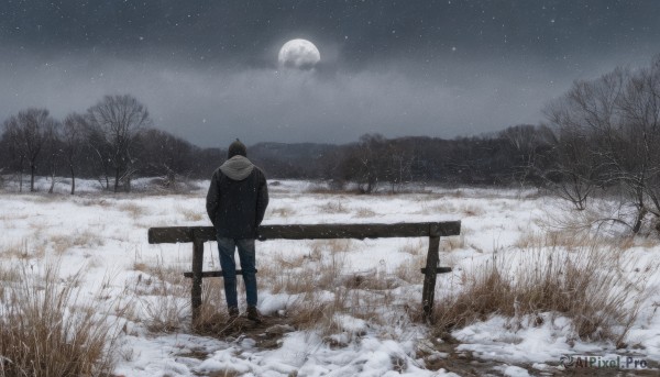 1girl,solo,short hair,black hair,long sleeves,1boy,standing,jacket,male focus,outdoors,sky,pants,cloud,signature,hood,from behind,tree,coat,hoodie,night,moon,hood down,grass,denim,star (sky),nature,night sky,scenery,hooded jacket,snow,full moon,forest,starry sky,jeans,snowing,mountain,hands in pockets,fence,winter clothes,facing away,wide shot,winter,bare tree,footprints,monochrome,boots,scarf,landscape,ambiguous gender,lake