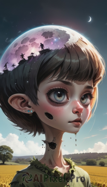 1girl,solo,short hair,bangs,blue eyes,brown hair,shirt,black hair,jewelry,closed mouth,collarbone,upper body,flower,earrings,outdoors,sky,day,pointy ears,artist name,cloud,tree,blue sky,lips,torn clothes,eyelashes,looking away,moon,looking up,portrait,star (sky),full moon,freckles,yellow flower,nose,green shirt,sunflower,silhouette,stud earrings,field,crescent moon,torn shirt,flower field,solo focus,night,piercing,ear piercing,night sky,starry sky