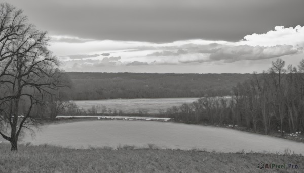 monochrome,greyscale,outdoors,sky,day,cloud,tree,no humans,cloudy sky,grass,nature,scenery,forest,mountain,horizon,road,field,bare tree,landscape