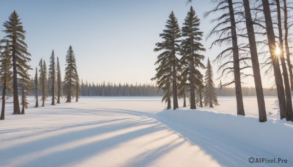 A peaceful snowy day with a unique subject