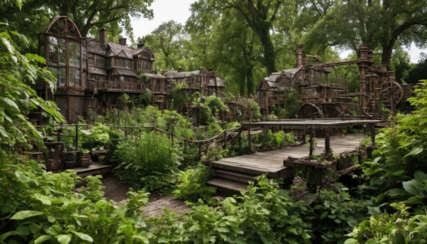 A garden in a serene day