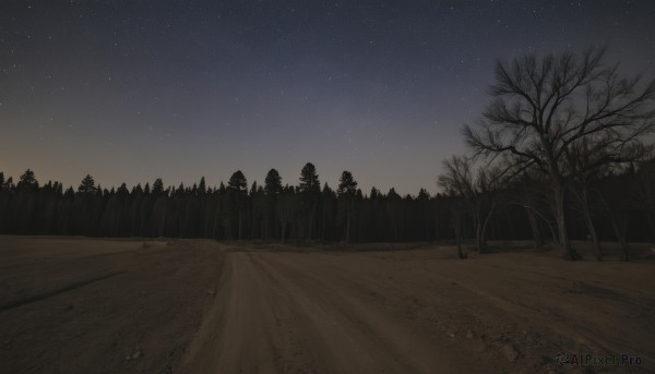 outdoors,sky,tree,no humans,night,grass,star (sky),nature,night sky,scenery,forest,starry sky,road,bare tree,path,monochrome,greyscale