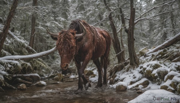 outdoors,horns,tree,no humans,animal,nature,scenery,snow,forest,rock,realistic,winter,bare tree,tusks,boar,solo,monster,snowing