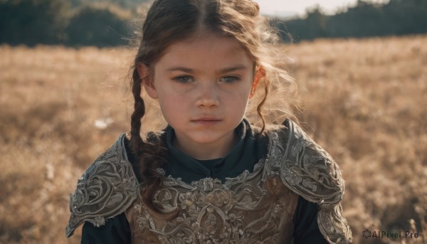 1girl,solo,long hair,looking at viewer,brown hair,closed mouth,upper body,braid,outdoors,day,armor,blurry,lips,grey eyes,depth of field,blurry background,shoulder armor,portrait,pauldrons,breastplate,realistic,chainmail,twin braids,expressionless,sunlight,forehead,field