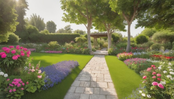 A inspiring view of a garden in day