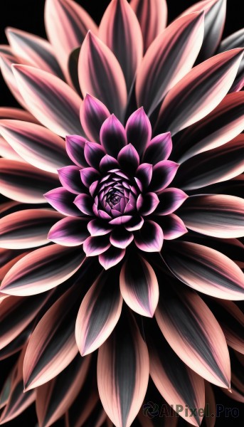The allure of a abstract in a inviting background