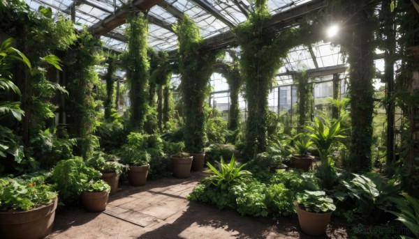 outdoors,day,indoors,tree,no humans,window,sunlight,plant,scenery,light rays,potted plant,ruins,vines,flower pot,overgrown,ceiling,ceiling light