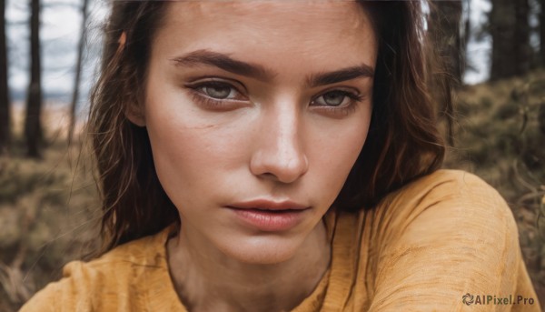 1girl,solo,long hair,looking at viewer,brown hair,shirt,brown eyes,closed mouth,upper body,outdoors,day,blurry,tree,lips,grey eyes,eyelashes,depth of field,blurry background,portrait,nature,close-up,forehead,freckles,realistic,nose,black hair,sweater,forest,yellow sweater