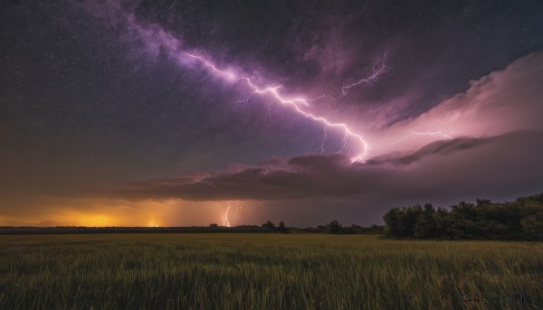 outdoors,sky,cloud,tree,no humans,night,cloudy sky,grass,star (sky),nature,night sky,scenery,starry sky,sunset,electricity,field,twilight,lightning,hill,forest,horizon,landscape