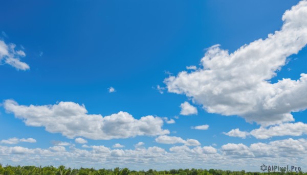 outdoors,sky,day,cloud,tree,blue sky,no humans,bird,cloudy sky,grass,nature,scenery,forest,blue theme,landscape